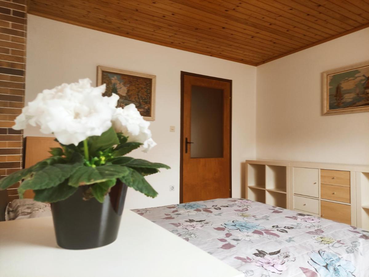 Alp House Hotel Бохинийска Бела Екстериор снимка